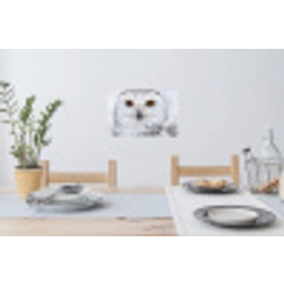 Sneeuwuil - Oog - Wildlife - Wit Muursticker klein -eettafel