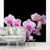Orchidee - Bloemen - Roze - Flora fotobehang vinyl groot -woonkamer