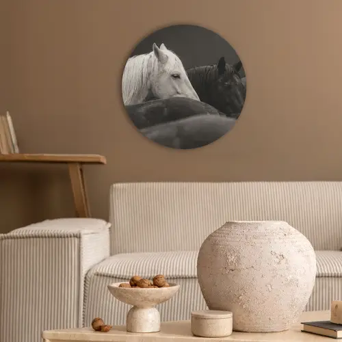 Paarden - Zwart - Wit - Kudde Akoestische PET Vilt - Rond klein -sfeer1