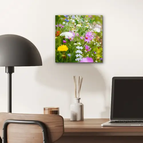 Bloemen - Natuur - Groen - Gras - Paars - Wit aluminium wit klein -sfeer5
