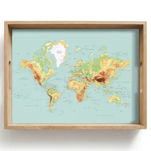 Wereldkaart - Realistisch - Blauw Dienblad Rechthoek middel -z3d_shopping
