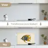 Vis - Sierlijk - Vinnen - Illustratie keuken achterwand spatscherm klein -voor_na_NL