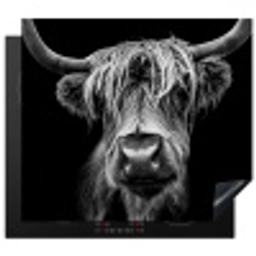 Nachtvisioen Inductie beschermer vinyl 3mm middel -3d