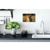 Leeuwin - Gras - Geel Muursticker klein -keuken