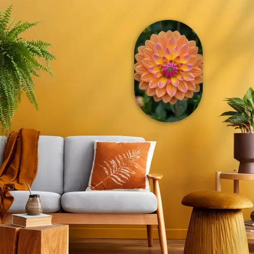 Dahlia - Bloem - Oranje Wandcirkel Ovaal Forex klein -sfeer4