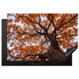 Boom - Bladerdak - Herfst - Oranje - Sfeervol Inductie beschermer vinyl 3mm klein -3d