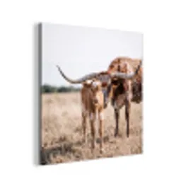 Texas Longhorn - Kalf - Weide - Dieren aluminium wit klein -3d