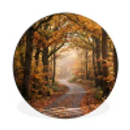 Bospad - Herfstbos - Bladeren - Oranje - Nostalgisch Wandcirkel aluminium klein -3d