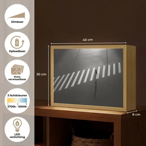 Zeebrapad - Hardloper - Zwart - Wit Light Box met batterij (Wandlamp) middel -USP_websiteoverzichtNL