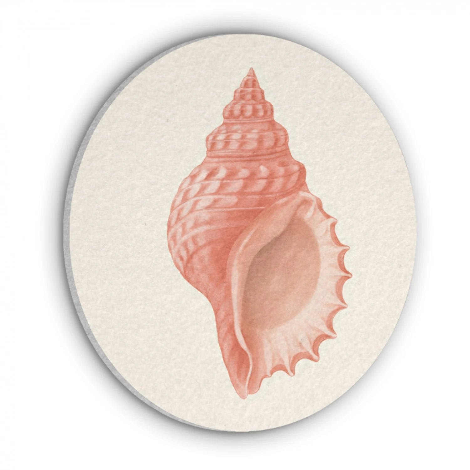 Schelp - Roze - Structuur Akoestische PET Vilt - Rond klein -3d