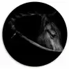 Paarden - Portret - Zwart - Dieren Wandcirkel kunststof plaat 5mm dik klein -3d