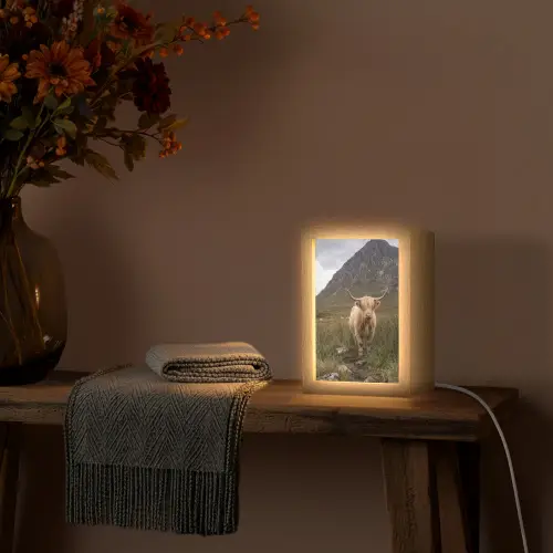 Schotse hooglander - Bergen - Grasveld Light Box met kabel (Tafellamp) klein -sfeer4