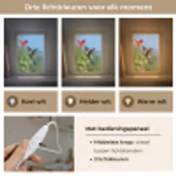 Kolibrie - Bloem - Natuur - Groen Light Box met kabel (Kinderlampje) klein -USP_lichtkleurNL