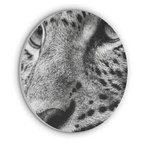 Luipaard - Zwart - Wit - Oog Akoestische PET Vilt - Rond klein -3d