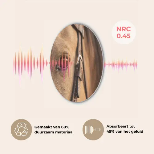 Paard - Oog - Bruin Akoestische PET Vilt - Rond klein -USP_NL