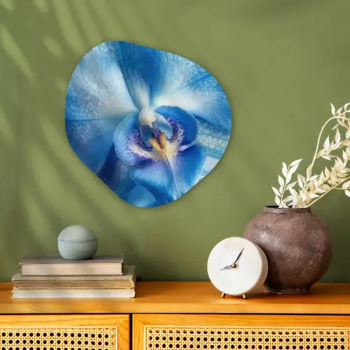 Blauw - Orchidee - Elegeant Wandcirkel Organisch Forex 3mm klein -sfeer2