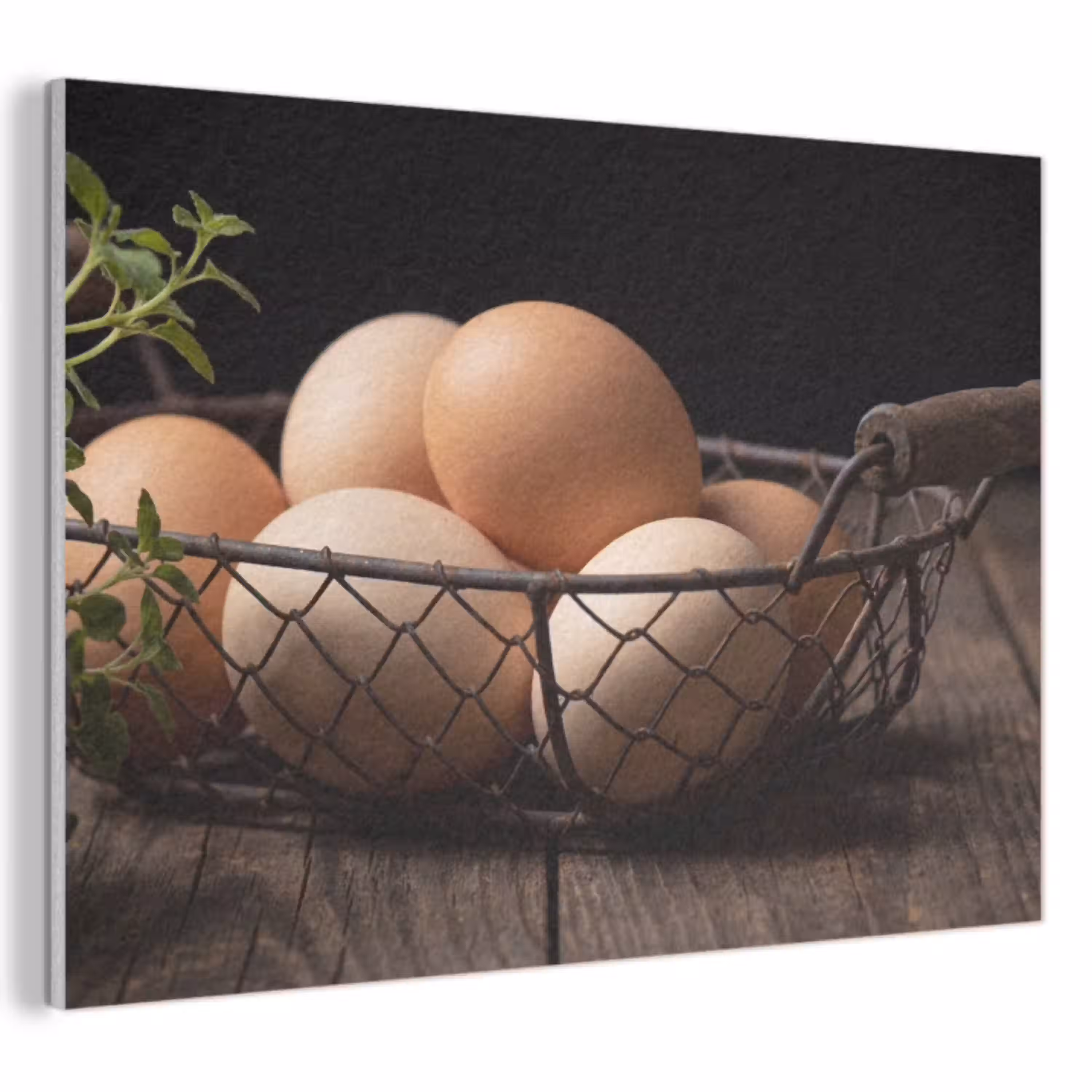 Eieren - Mand - Eten PET vilt klein -3d