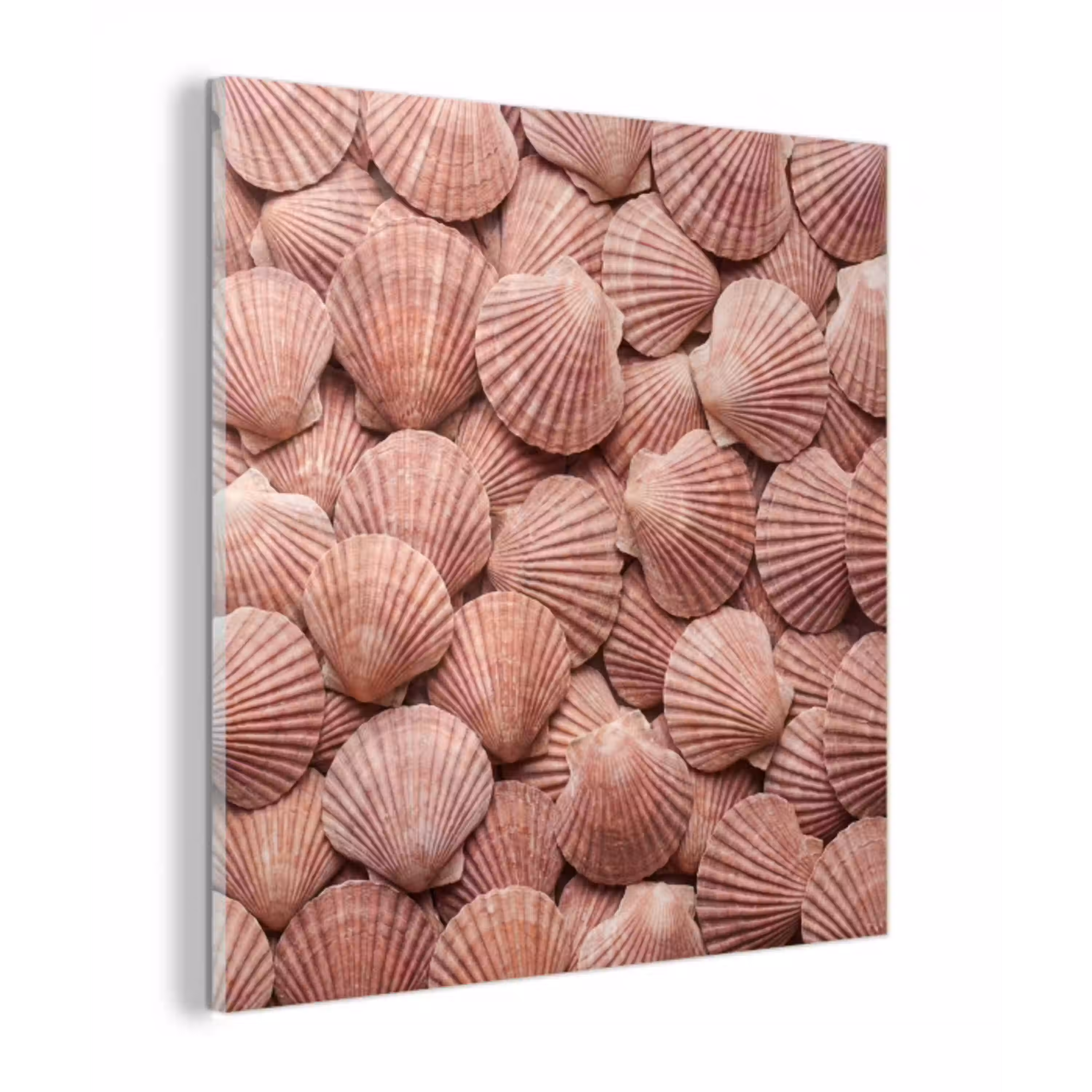 Schelpen - Patroon - Roze plexiglas 5mm klein -z3d