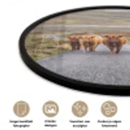 Schotse Hooglanders - Weg - Landschap - Kudde Fotolijst rond zonder passe partout klein -closeup_NL
