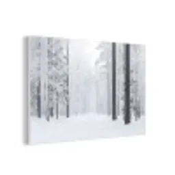 Bos - Sneeuw - Pad - Winter - Stilte forex 5mm xxl -3d