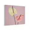 Bloemen - Anthuriums - Geel - Roze PET vilt klein -3d