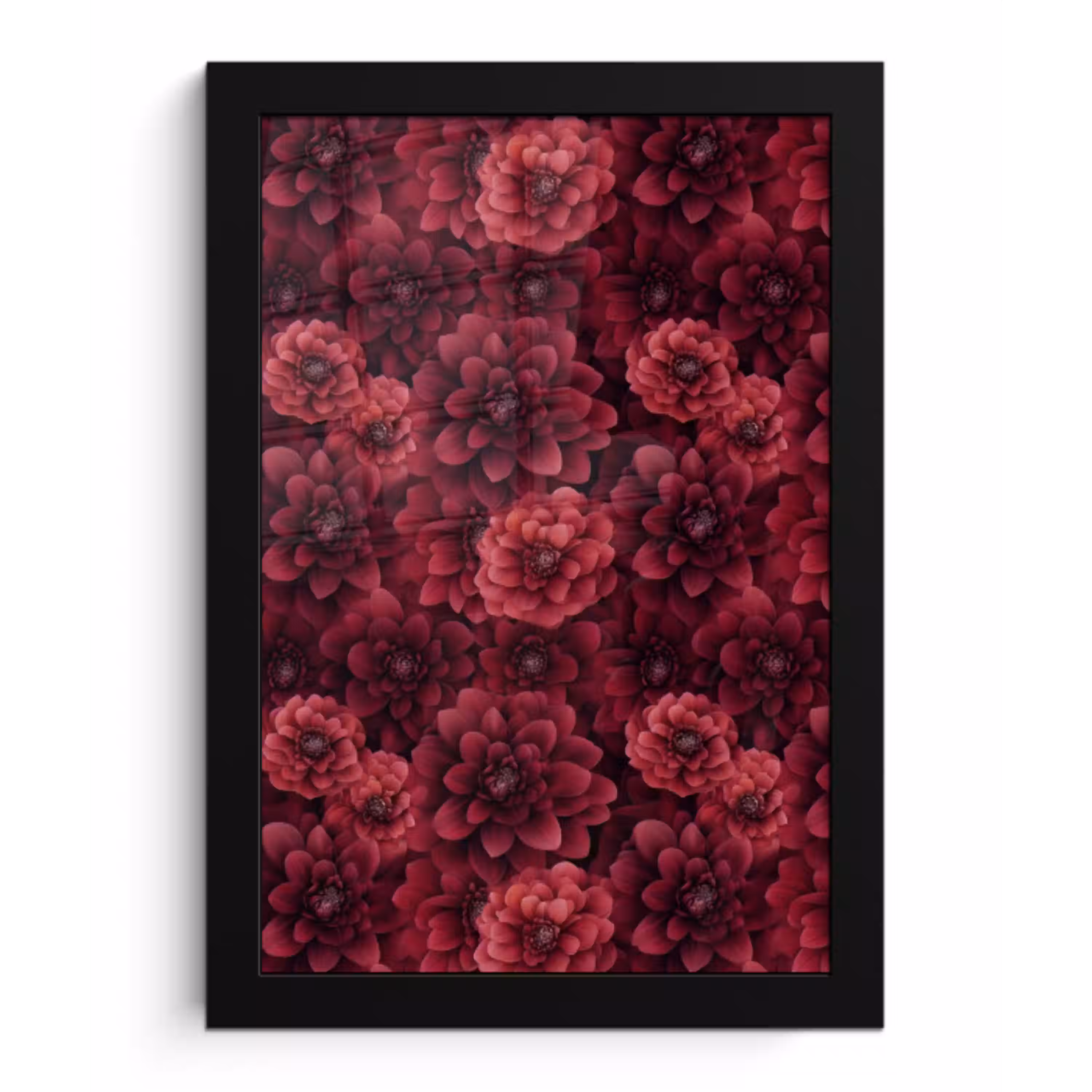 Dahlias - Bloemen - Rood fotolijst zwart zonder passe partout klein 224 -3d