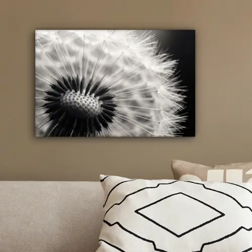 Paardenbloem - Zwart - Wit canvas 2cm klein -sfeer3