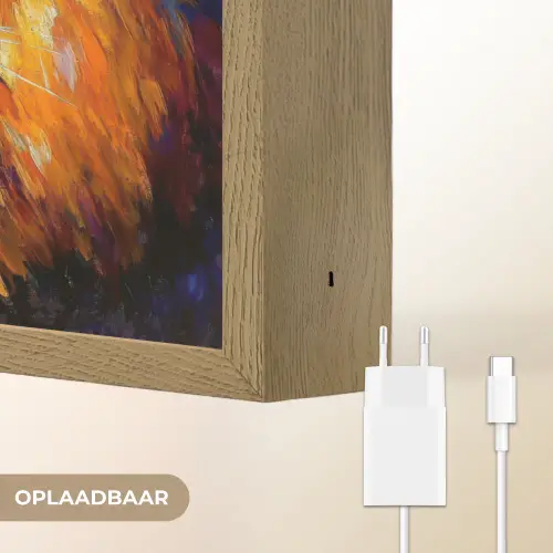 Dieren - Kunst - Leeuw - Tijger Light Box met batterij (Wandlamp) middel -USP_websiteoplaadbaarNL
