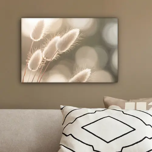 Hazestaartgras - Wit - Zonlicht canvas 2cm klein -sfeer3