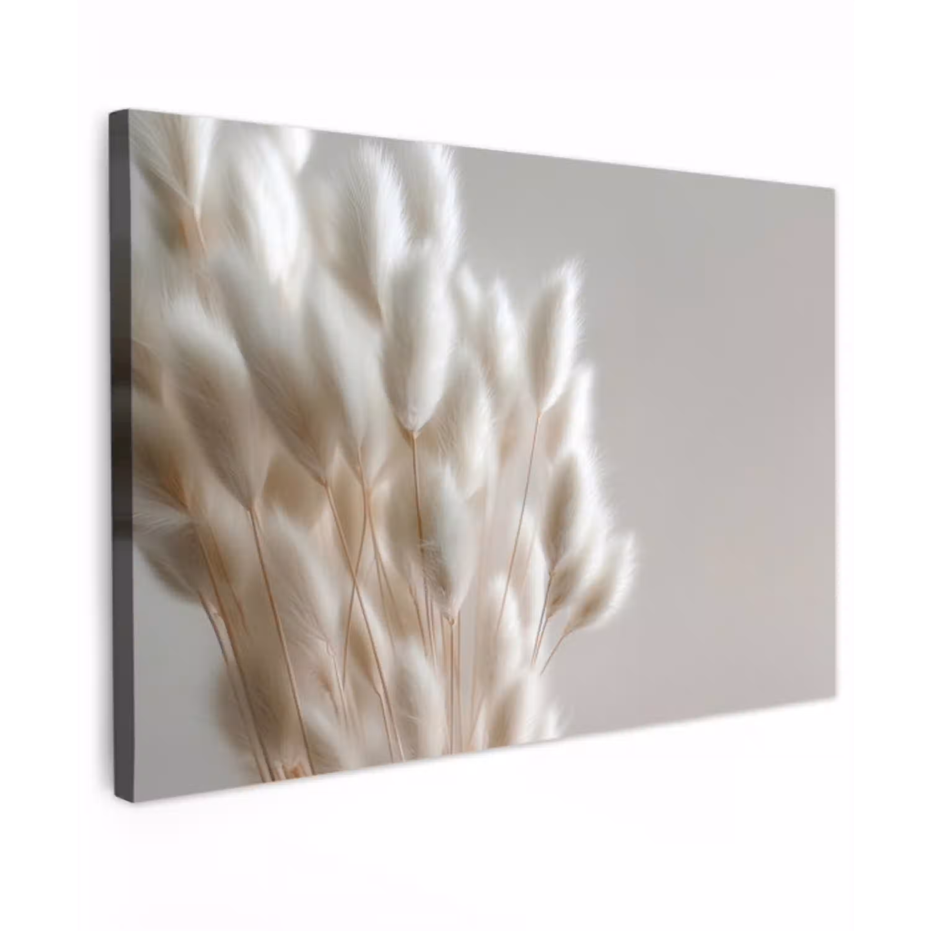 Pluimen - Beige - Minimalistisch canvas 2cm klein -z3d