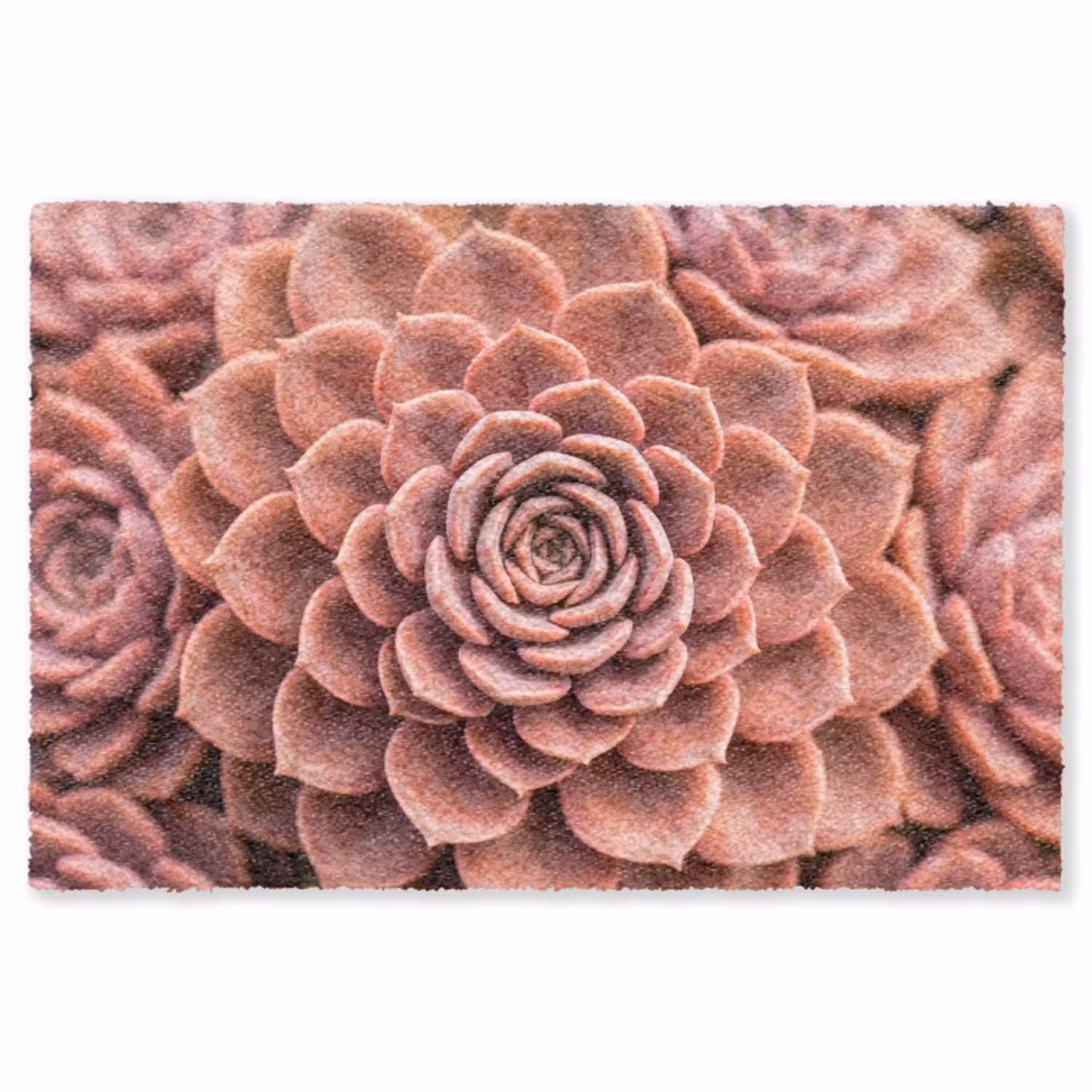 Vetplant - Organisch - Roze Vloerkleed Rechthoek klein -3d