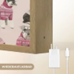 Honden - Truien - Rood Light Box met batterij (Wandlamp) middel 907 -USP_websiteoplaadbaarDE