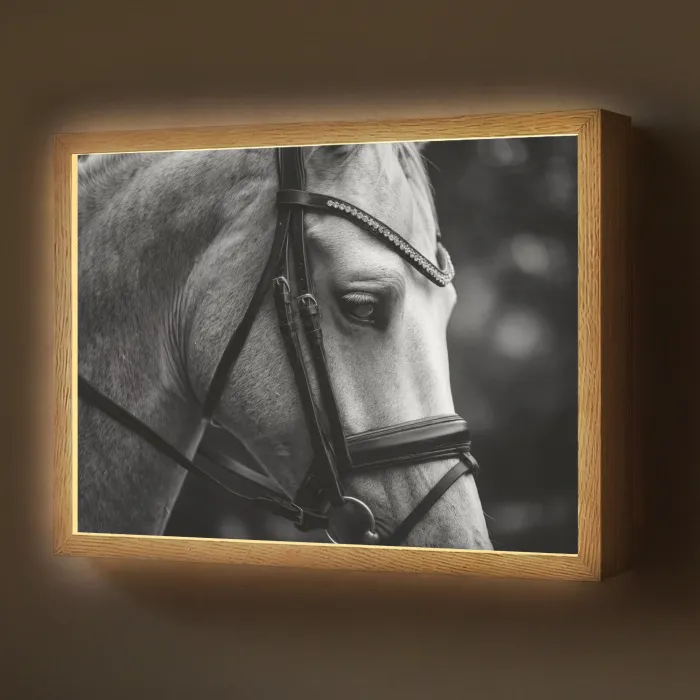 Paard - Schimmel - Portret Light Box met batterij (Wandlamp) middel -z3d_website