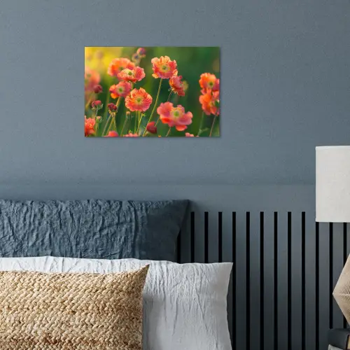 Bloemenveld - Zonnestralen - Oranje poster papier klein -sfeer2