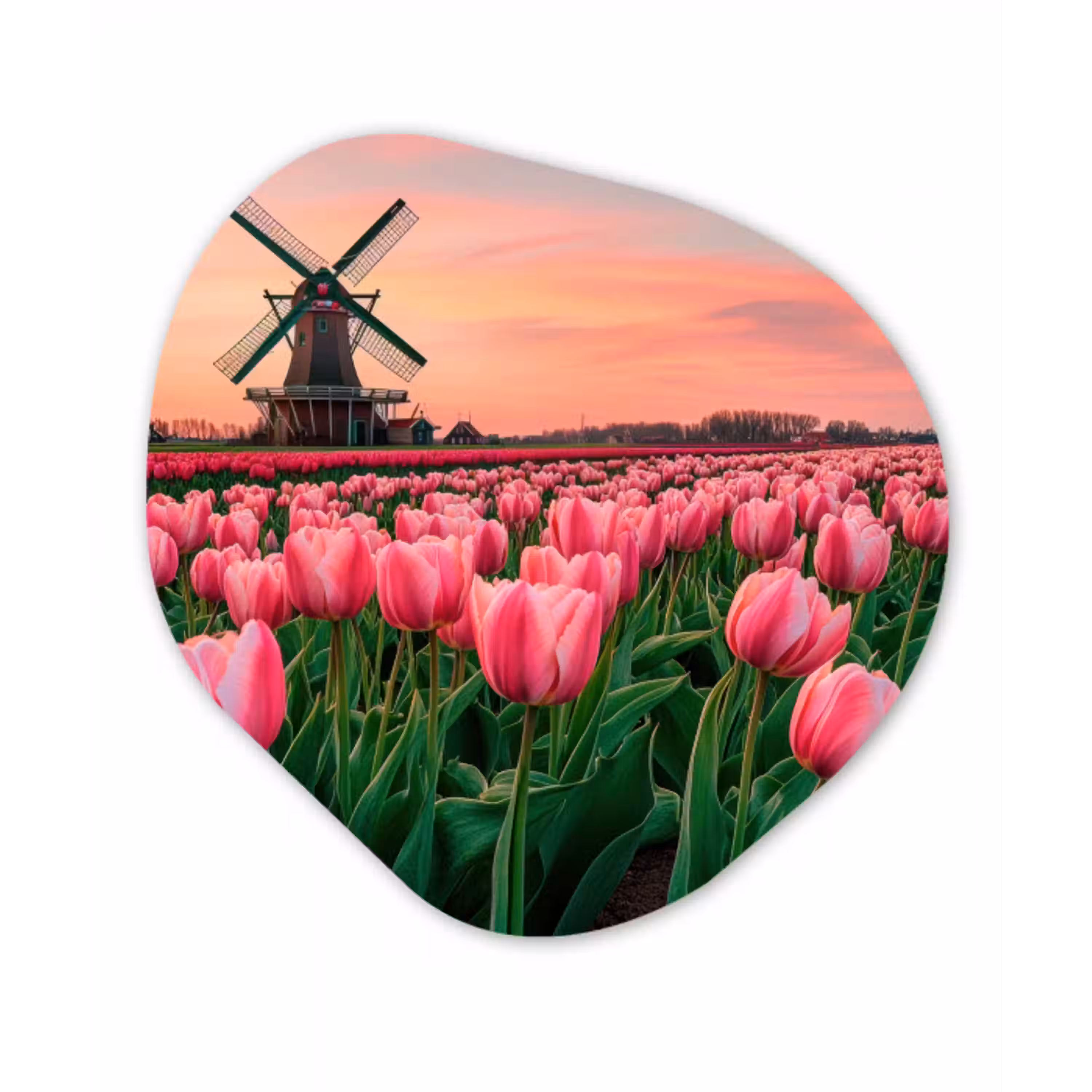 Tulpen - Molen - Nederland Wandcirkel Organisch Forex 3mm klein -3d