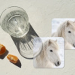 Paard - Kop - Winter - Dieren - Wit onderzetter kurk middel -sfeer4