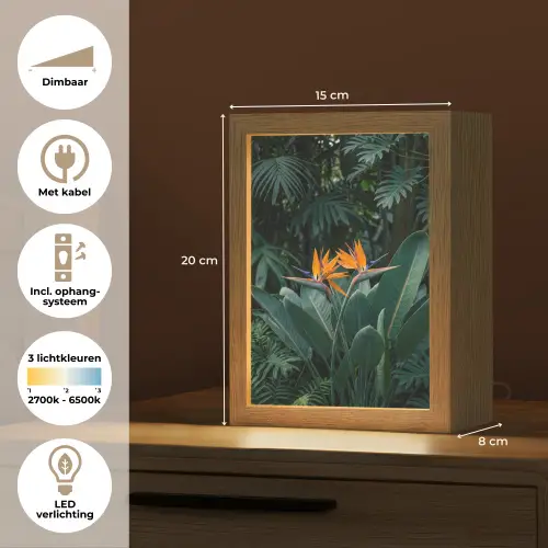 Paradijsvogel - Bloem - Exotisch Light Box met kabel (Tafellamp) klein -USP_NL