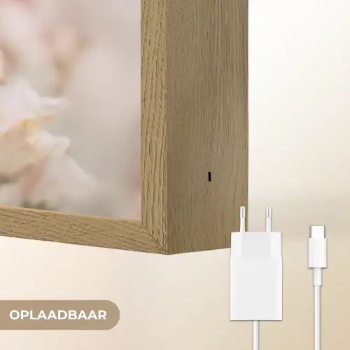 Bloem - Leeuwenbek - Roze - Stengel Light Box met batterij (Wandlamp) middel -USP_websiteoplaadbaarNL