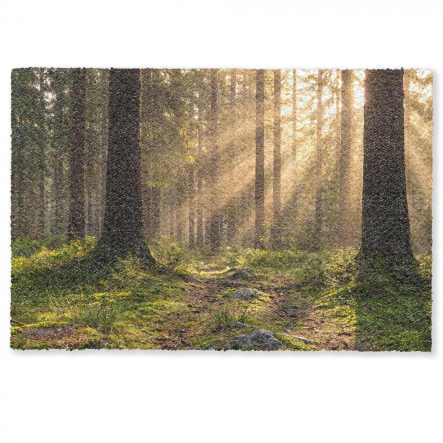 Bos - Zonlicht - Gras Deurmat klein -zkaufland3d