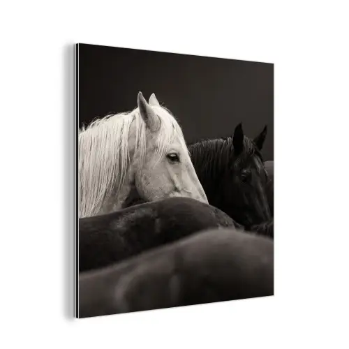 Paarden - Zwart - Wit - Kudde aluminium wit klein -3d