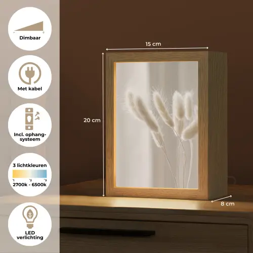 Pampasgras - Pluim - Wit Light Box met kabel (Tafellamp) klein -USP_NL