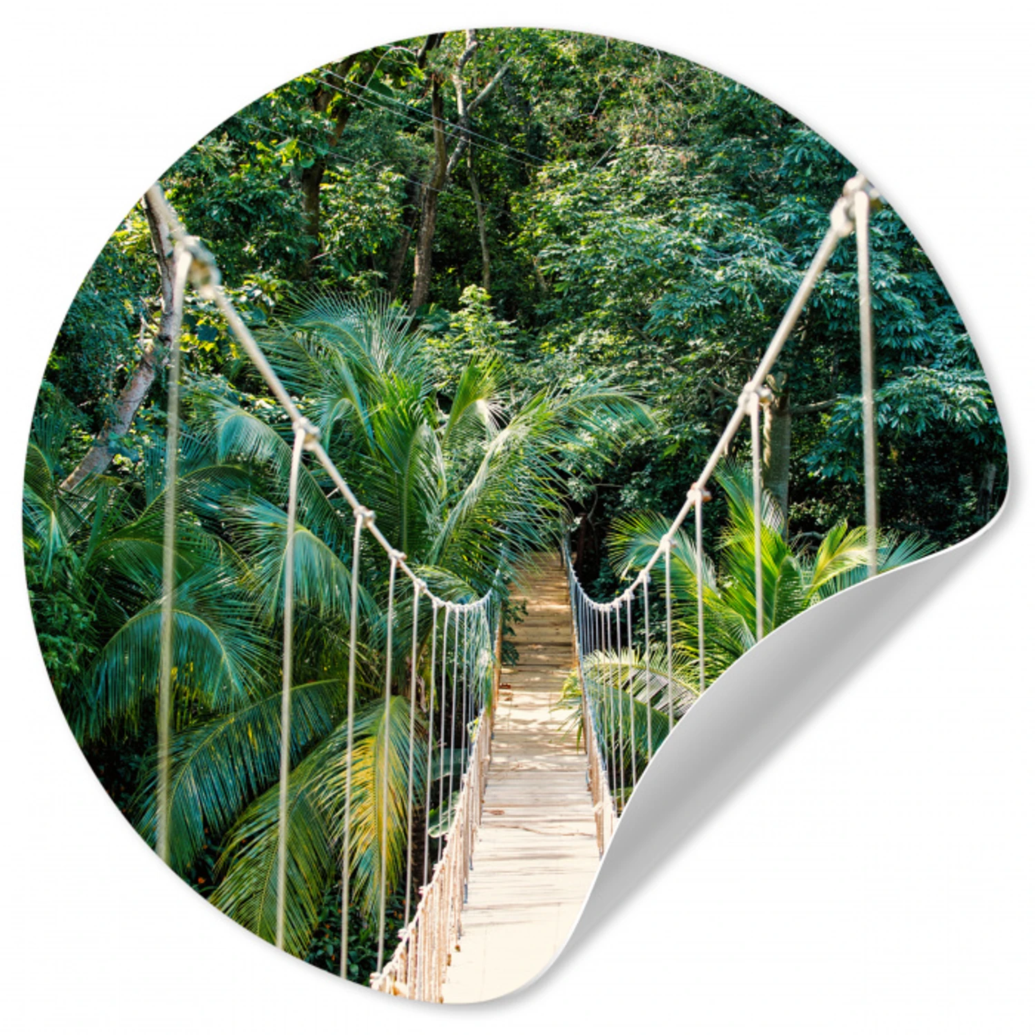 Jungle - Palmboom - Brug - Natuur - Planten Wandcirkel behangsticker klein -3d