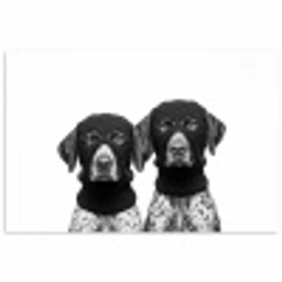 Honden - Bivakmuts - Zwart - wit poster papier klein -3d
