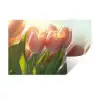 Tulpen - Roze - Zonnestralen Muursticker klein -3d