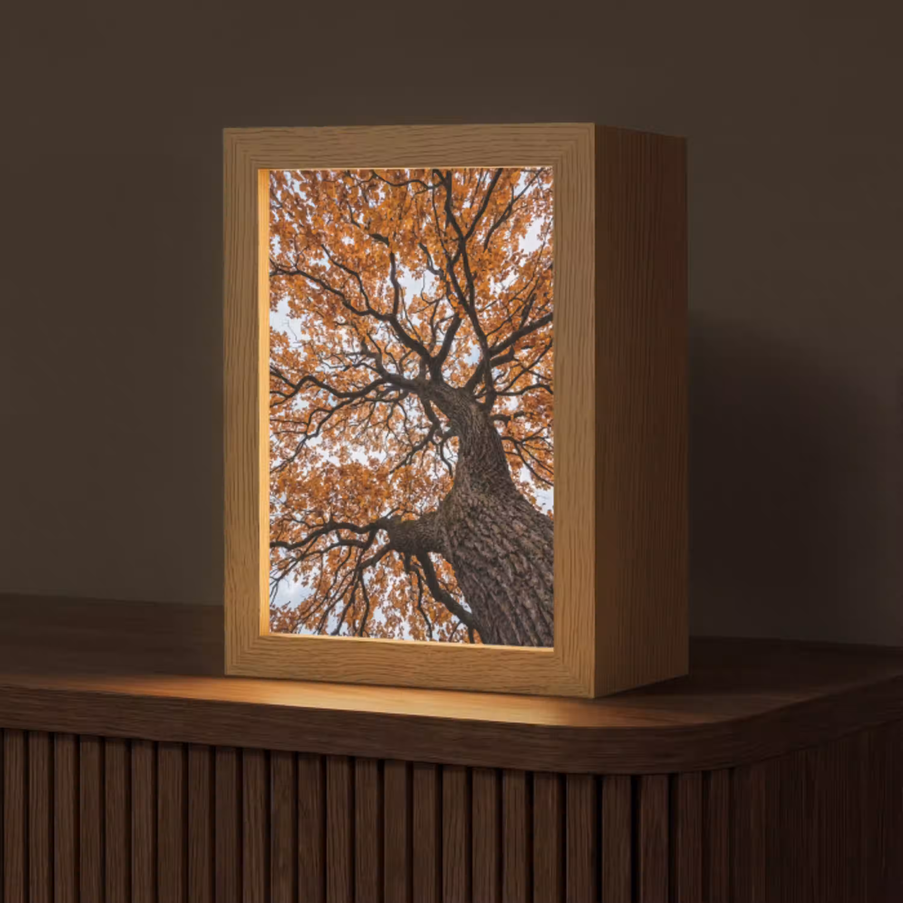 Boom - Bladerdak - Herfst - Oranje - Sfeervol Light Box met kabel (Tafellamp) klein -z3d_website