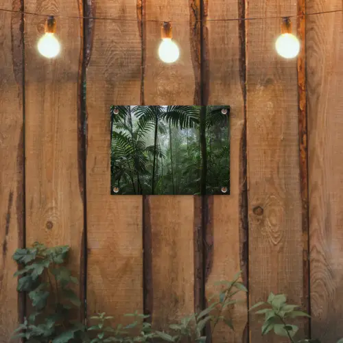 Regenwoud - Tropisch - Jungle - Bomen - Planten tuinposter los doek klein -sfeer1