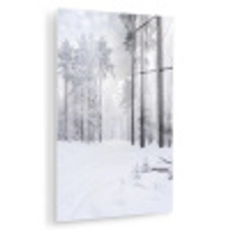 Bos - Sneeuw - Pad - Winter - Stilte plexiglas 5mm klein -zzzproduct_nieuw