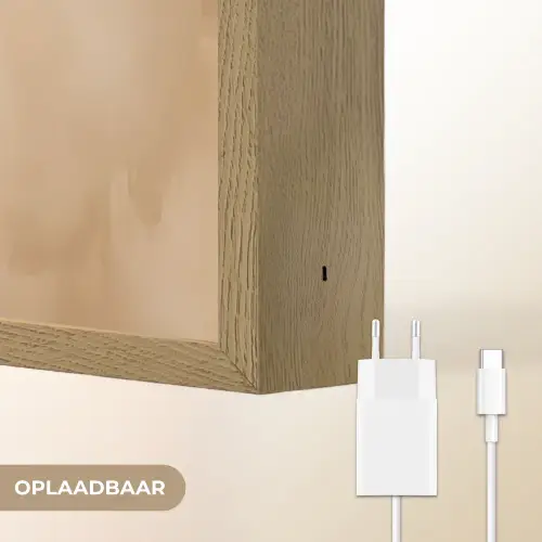 Gewei - Kerst - Rendier - Rood Light Box met batterij (Wandlamp) middel -USP_websiteoplaadbaarNL