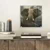Afrikaanse olifant tegen de donkere wolken plexiglas 5mm klein -sfeer1