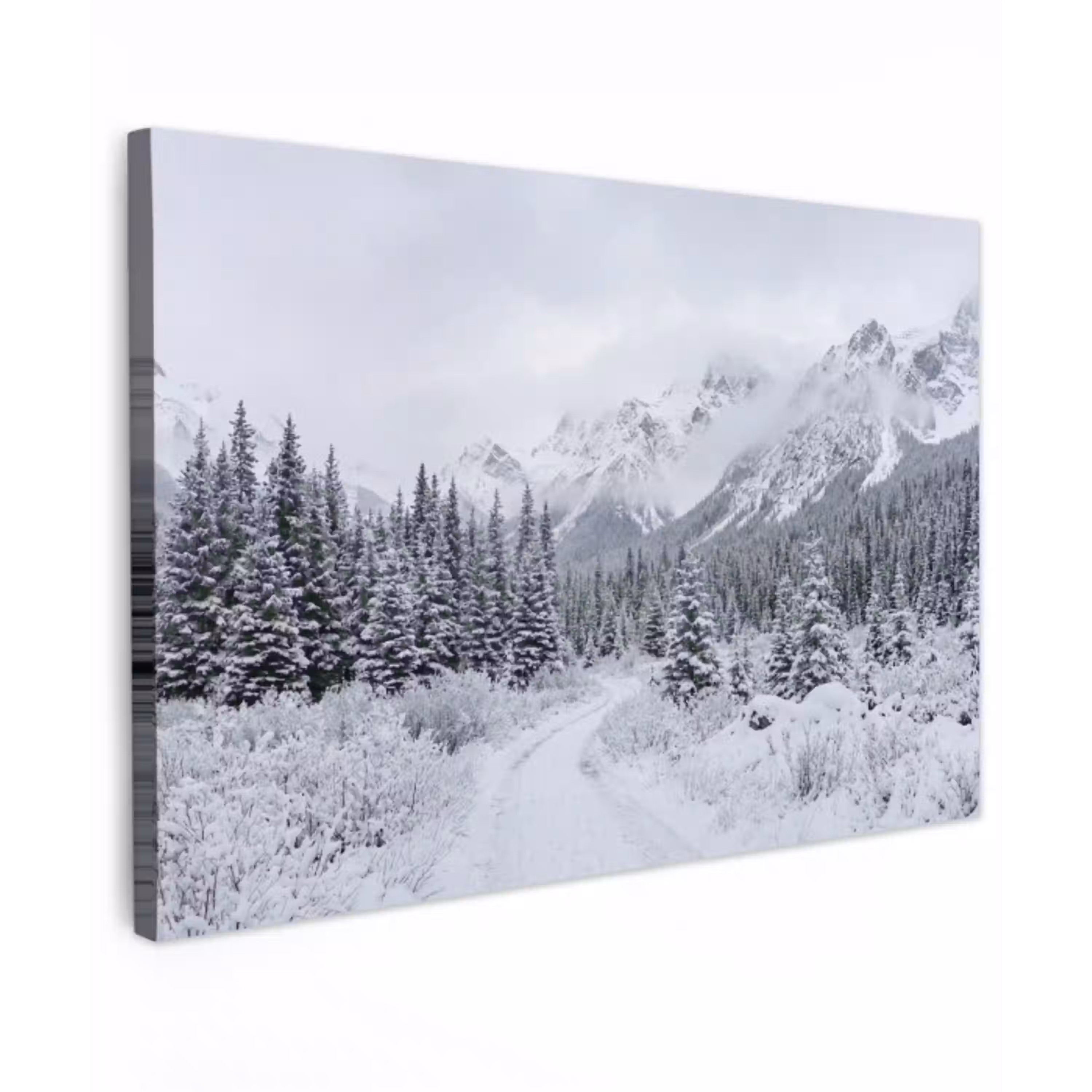 Weg - Bergen - Sneeuw - Naaldbos - Avontuurlijk Tuinposter op houten frame 2 cm dik klein -3d